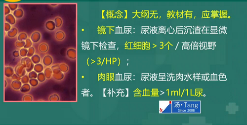 湯以恒2019臨床執(zhí)業(yè)醫(yī)師泌尿系統(tǒng)科目免費視頻課更新！