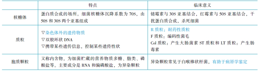 細菌細胞結(jié)構(gòu)的醫(yī)學(xué)意義