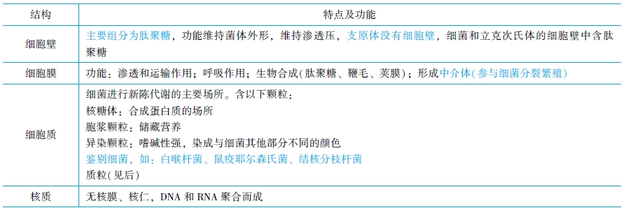 細菌的基本機構(gòu)與肽聚糖結(jié)構(gòu)