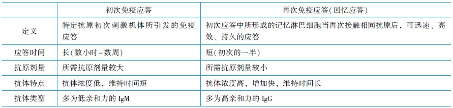 體液免疫應答