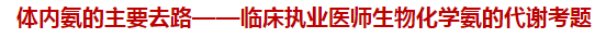 體內氨的主要去路——臨床執(zhí)業(yè)醫(yī)師生物化學氨的代謝試題