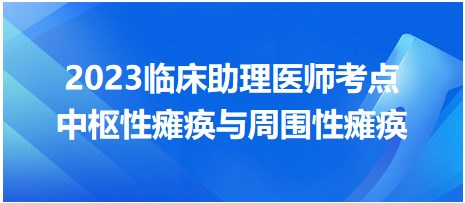 2023臨床助理醫(yī)師考點(diǎn)中樞性癱瘓