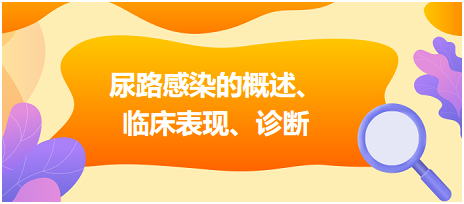 尿路感染的概述、臨床表現(xiàn)、診斷