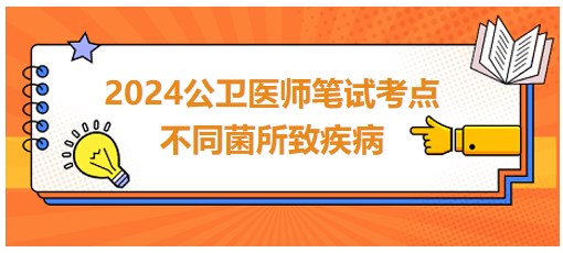 不同菌所致疾病