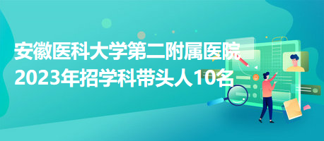 安徽醫(yī)科大學第二附屬醫(yī)院2023年招學科帶頭人10名