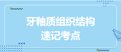 牙釉質(zhì)組織結(jié)構(gòu)速記考點